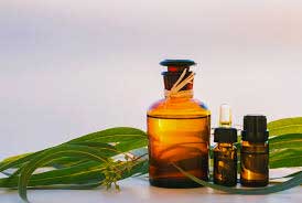 Eucalyptus Oil to Treat Knee Pain