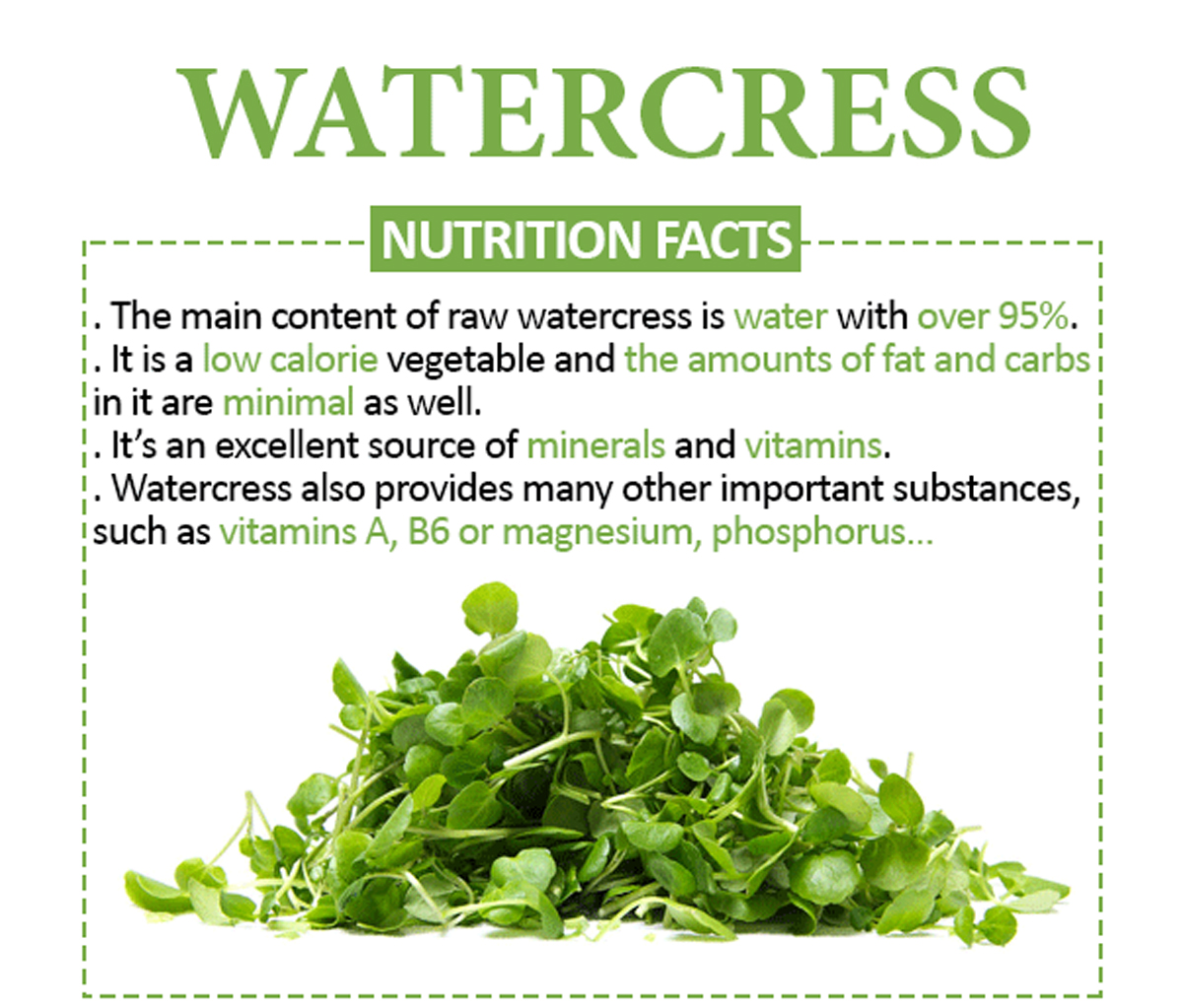 Watercress Calories and Nutrition Facts