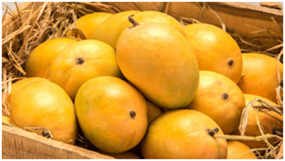 Mangoes are high in fiber that eases off the constipation