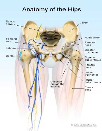 Symptoms Of Hip Pain