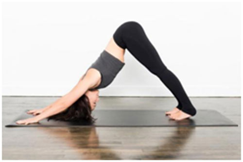 This asana helps in improving the posture and improves hair growth as well
