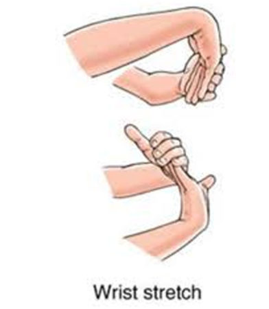 Wrists bend (forward and backward)