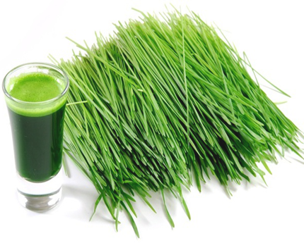 Alfalfa Grass: Dietary Supplements to reduce 'Weight' 