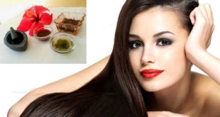 Amazing Tips to Make Hair Packs to Control Hair Fall