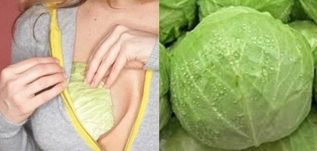Cabbage Leaves To Dry Up The Breast Milk