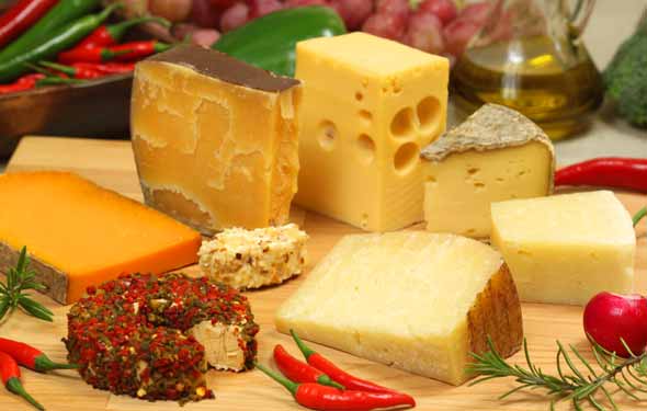 Cheese Health Benefits Strengthen your Bones