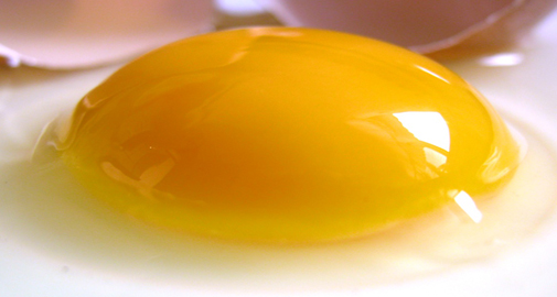 Consume egg yolk in moderation