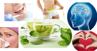 Green Tea Healthiest Super Drink