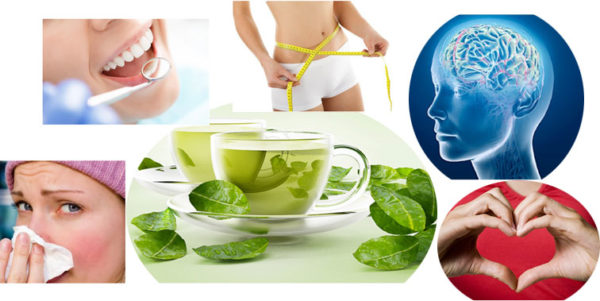 Green Tea Healthiest Super Drink