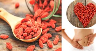 12 Health Benefits That You Can Gain With Goji Berry!