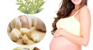 Best Remedies For Infection During Yeast Pregnancy