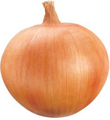 Onion for Chest Congestion