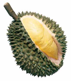 Vegetarian delicacy: Durian