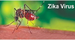 What is Zika Virus Fever