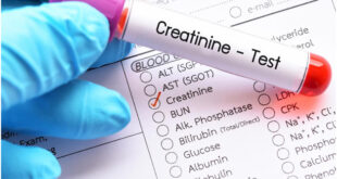 What Is Low Creatinine Level