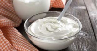 Yogurt Helps in giving many Benefits to the Body